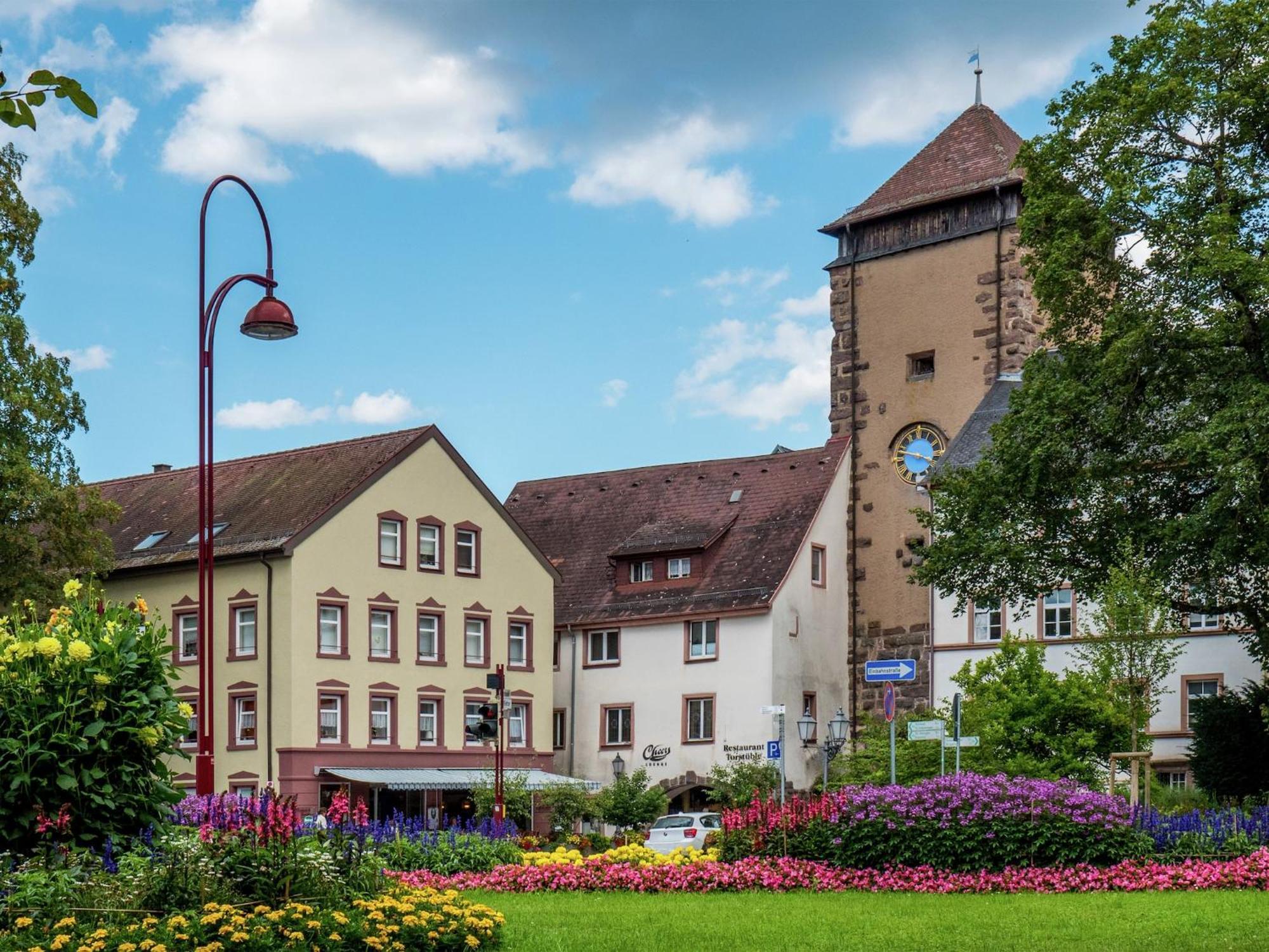 Cozy Apartment In Schwenningen With Garden Філлінген-Швеннінген Екстер'єр фото