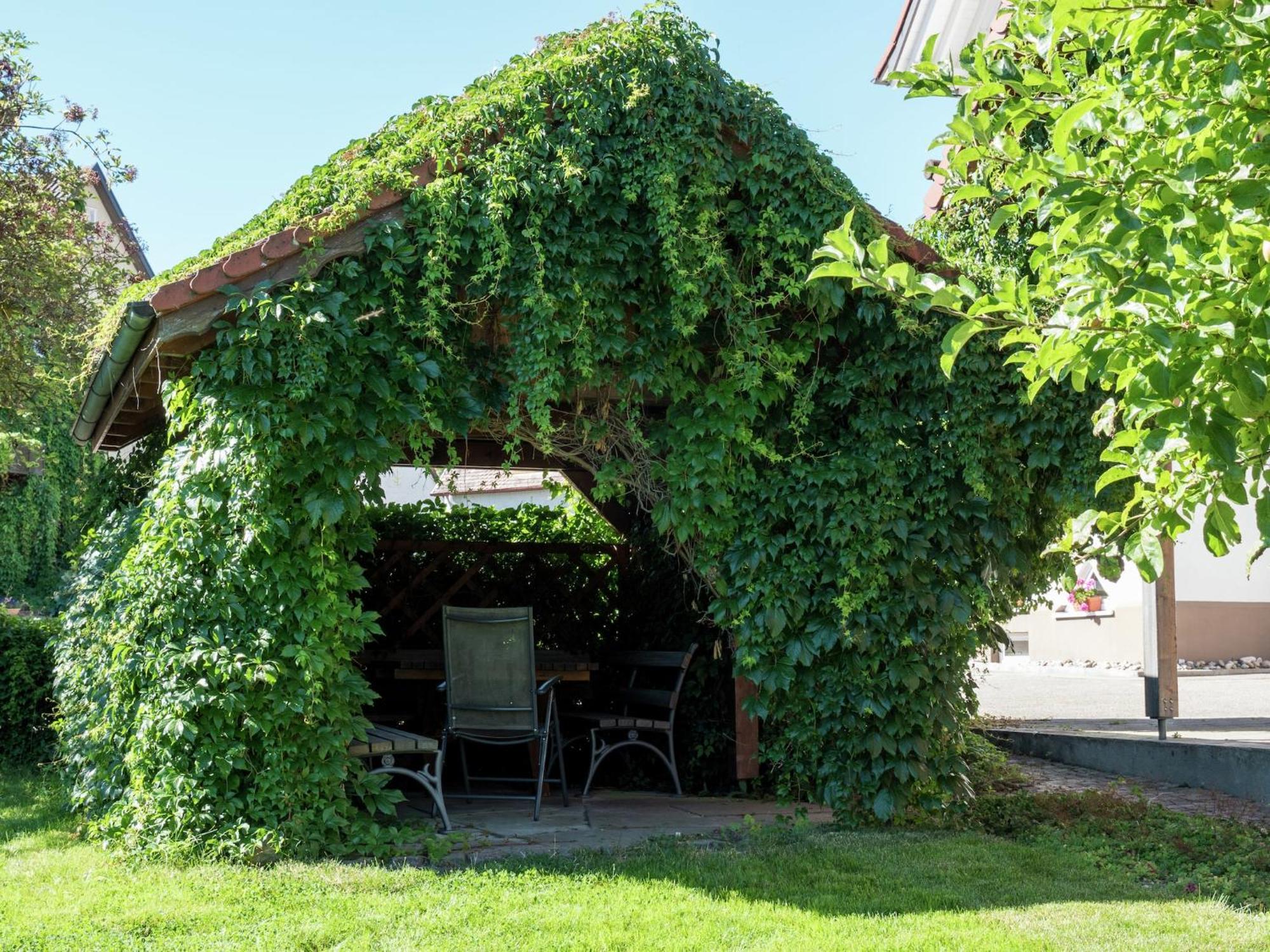 Cozy Apartment In Schwenningen With Garden Філлінген-Швеннінген Екстер'єр фото