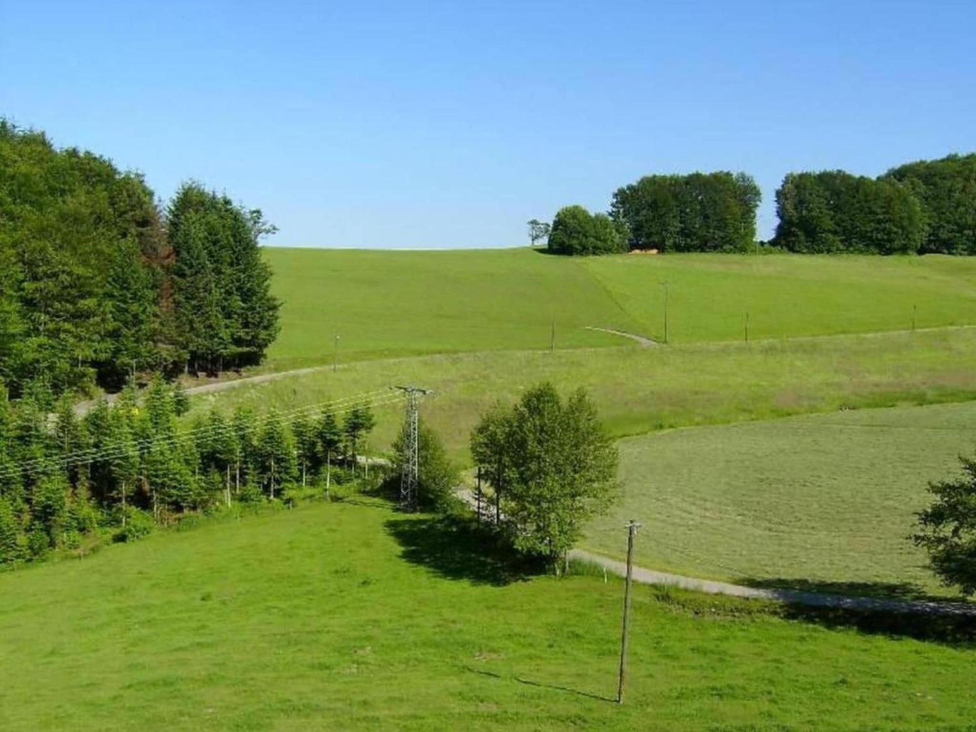 Cozy Apartment In Schwenningen With Garden Філлінген-Швеннінген Екстер'єр фото